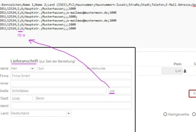 GLS-CSV interne Info